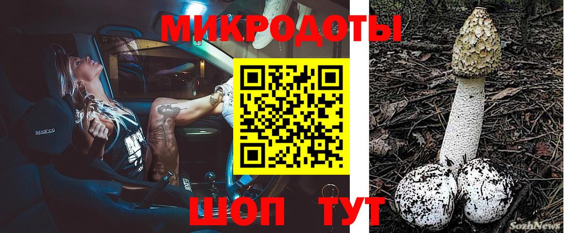 Псилоцибиновые грибы прущие грибы Кореновск