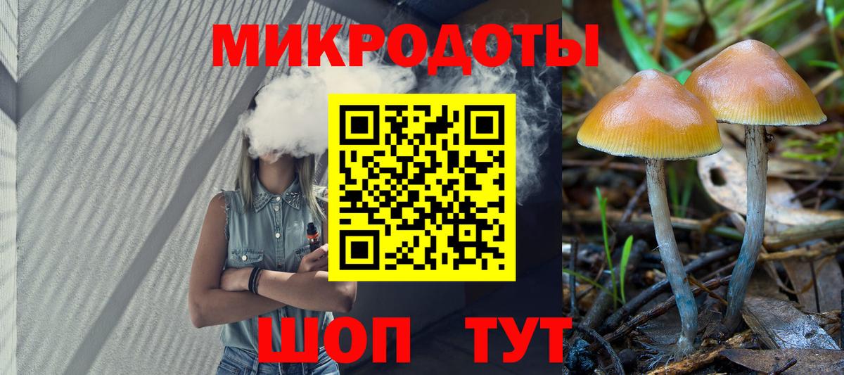 Кореновск  Псилоцибиновые грибы GOLDEN TEACHER  Псилоцибиновые грибы GOLDEN TEACHER  Вход с VPN 